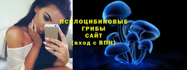 шишки Алексеевка